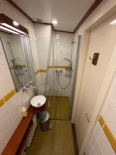 Bilik mandi di Hotelboot Zwaan
