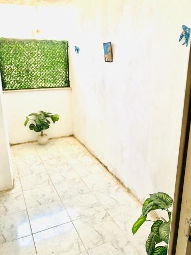 Una habitación con una planta en maceta y una ventana. en Résidence Farhani, en Túnez