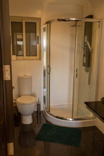 a bathroom with a toilet and a glass shower at Aurelia Gozo Boutique BnB in Xagħra