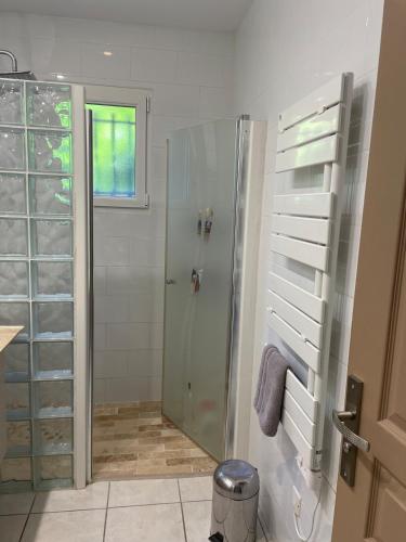 La salle de bains est pourvue d'une douche et d'une cabine de douche en verre. dans l'établissement Maison de vacances, au Thor