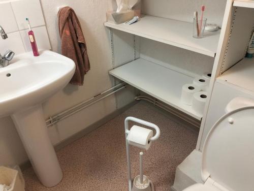 ein kleines Badezimmer mit Waschbecken und Toilette in der Unterkunft SCI Lebach in Bagnères-de-Bigorre