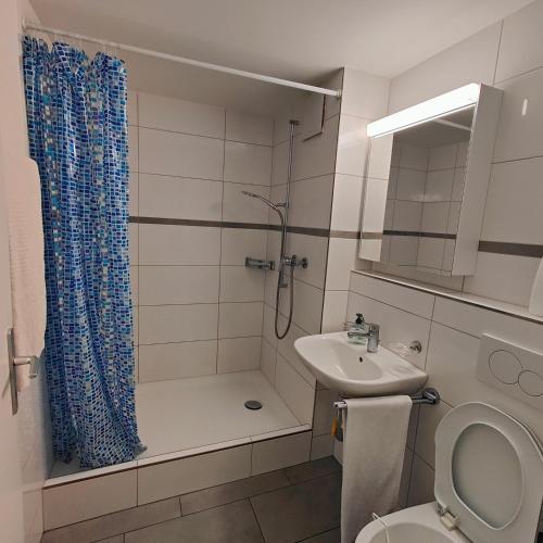 Bilik mandi di Apartment Buchental , Ruhig und zentral in St Gallen