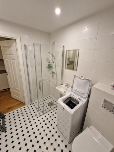 Ένα μπάνιο στο Juurdeveo Apartment