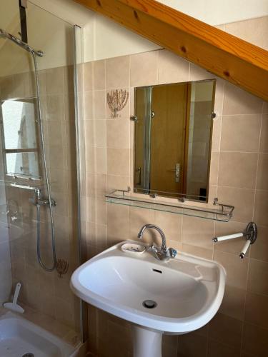 une salle de bain avec un lavabo, une douche et un miroir dans l'établissement Maison avec accès privé au bord de Drôme, à Mirabel-et-Blacons