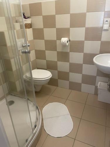 a bathroom with a shower and a toilet and a sink at Pension Soutěsky in Hřensko
