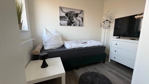 TV a/nebo společenská místnost v ubytování Sweet Sleep Apartment "FeWo Fledermaus"