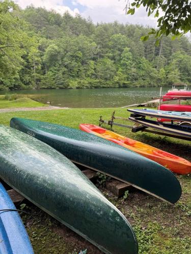 a group of kayaks are lined up next to a river at Buffalo Creek Cabin- Hot Tub Creekfront Escape in Robbinsville