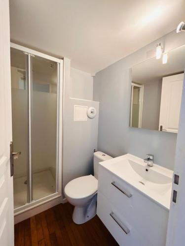 une salle de bain avec toilettes, douche et lavabo dans l'établissement Studio with Mezzanine Center, à Chambéry