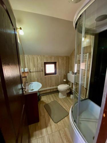 a bathroom with a toilet and a sink and a shower at Casa Leca in Breb