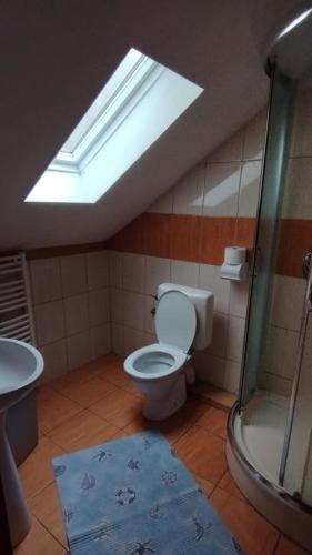 a bathroom with a toilet and a sink and a skylight at Ubytovňa Priehrada in Trstená