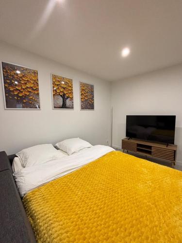 a bedroom with a large bed and a flat screen tv at Chez Cricri, modern accommodation in Bizanet