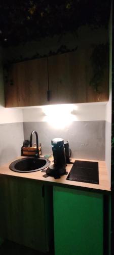 Il comprend une cuisine équipée d'un évier et d'une cuisinière. dans l'établissement Jungle Room - Sauna, Jacuzzi, Cinéma - Hyper Centre, à Troyes