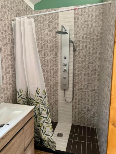 a bathroom with a shower with a shower curtain at Casinhas do Marão in Parada