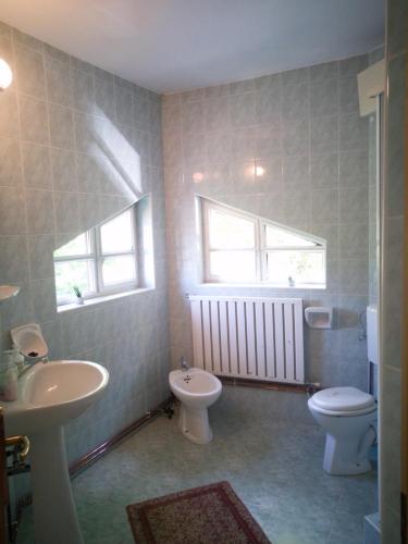 a bathroom with a sink and a toilet and two windows at Casa de vacanță Tarnița in Someşu Cald