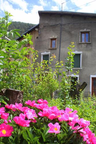 Une bande de fleurs roses devant un bâtiment dans l'établissement Les Hauts du Pâquier, à Modane
