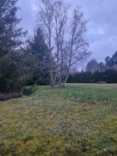 Zahrada ubytování Longère familiale et son parc plein sud