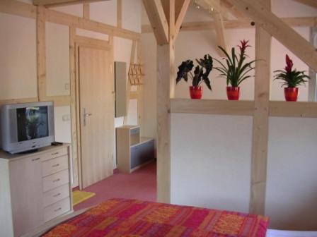 a bedroom with a bed and a tv and potted plants at Haus 'Annelies' in Kurort Rathen