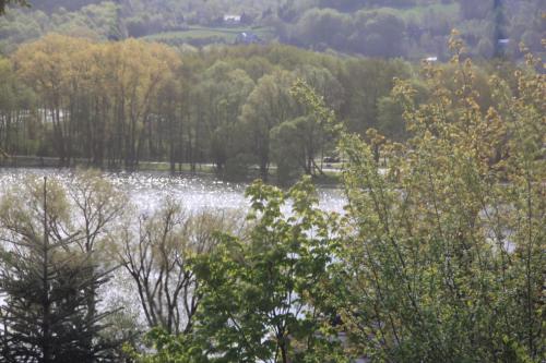 a view of a river with trees in the foreground at Mira - Mira pokoje z widokiem na jezioro in Chmielno