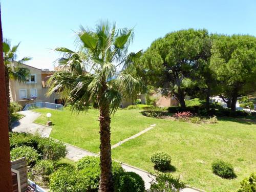 Studio - La baie des anges