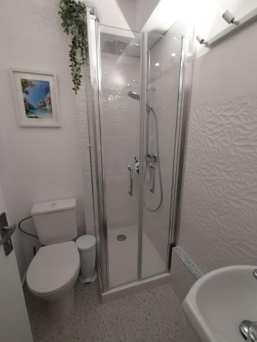 une salle de bain avec une douche avec des toilettes et un lavabo dans l'établissement Studio - La baie des anges, à La Ciotat