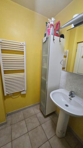 une salle de bain avec un lavabo et un réfrigérateur dans l'établissement hébergement 3 PERS MAX proche chateaux et zoo Beauval, à La Celle-sous-Gouzon