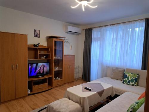 a living room with a couch and a tv at Apartment Beti in Devin