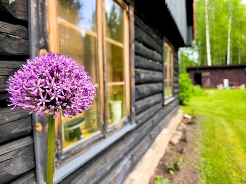 a purple flower on the side of a building at Atsikivi Puhketalu in Häädemeeste