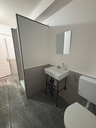 a bathroom with a sink and a toilet at Lola Apartman in Eger
