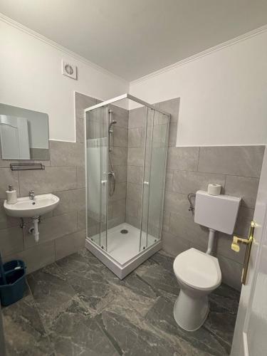 a bathroom with a shower and a toilet and a sink at Lola Apartman in Eger