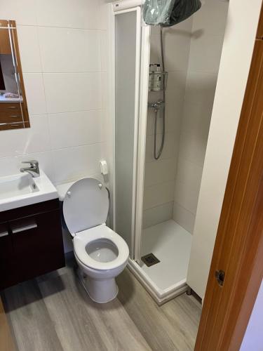 a small bathroom with a toilet and a shower at Casa San Antonio in Albarracín