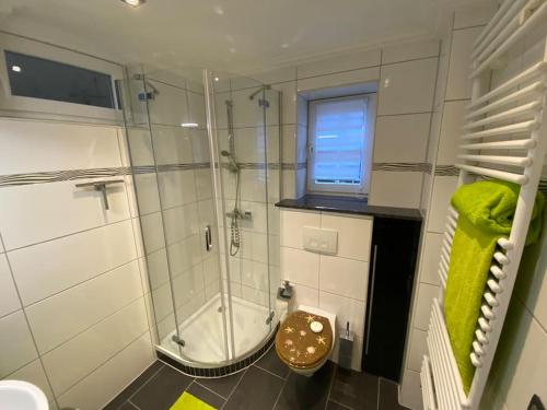 a bathroom with a shower and a toilet and a window at Ilonas Home in Baden-Baden