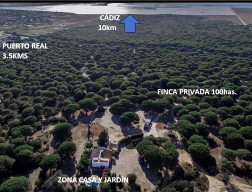 an aerial view of a forest of trees with a blue arrow at Dehesa de la yeguas-Finca privada con piscina a 15 min playas in Cádiz