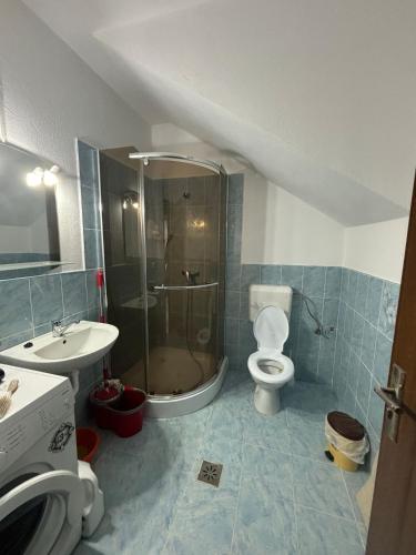 a bathroom with a shower and a toilet and a sink at Casa Iuliana in Sovata
