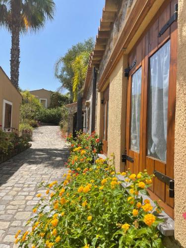 a garden of flowers next to a building at Villaggio Garden Park in Marina di Camerota