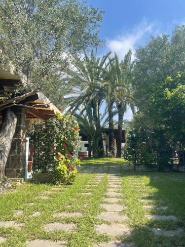 a house with a yard with flowers and trees at Villaggio Garden Park in Marina di Camerota