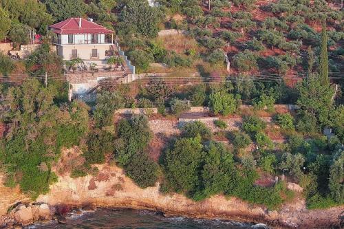 Φυσικό τοπίο κοντά σε αυτό το διαμέρισμα
