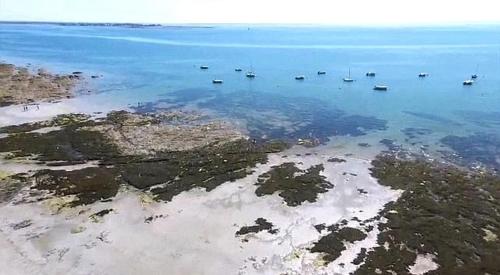 an aerial view of boats in the water at Hôtel Restaurant Le Mur du Roy in Sarzeau