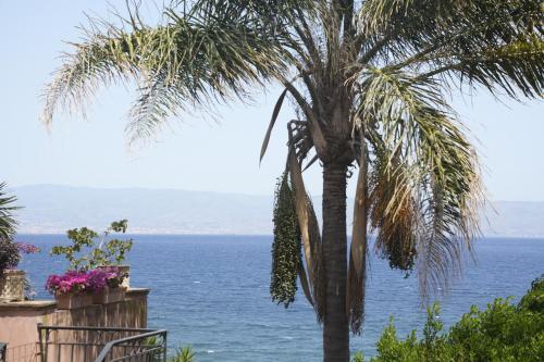 a palm tree with the ocean in the background at Maison Canopée in Messina