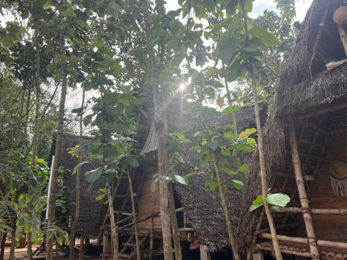 a building with a tree growing on the side of it at Bamboo hutz in Jāmb