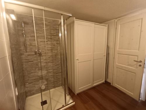 a bathroom with a shower with a glass door at Apartments Nicole in Porto Rotondo