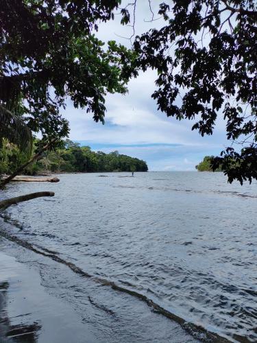 a view of a body of water with trees at La maison in Gandoca