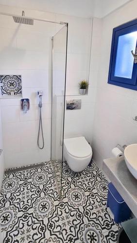 a bathroom with a toilet and a glass shower at Mikri elia beach in Lagomandra