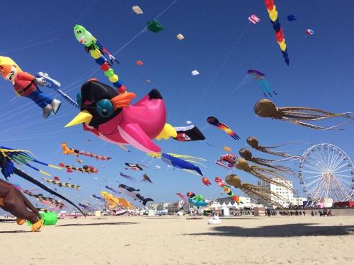 Une bande de cerfs volant dans le ciel sur une plage dans l'établissement Studio à 50 Mètres de la plage avec wifi, à Berck-sur-Mer