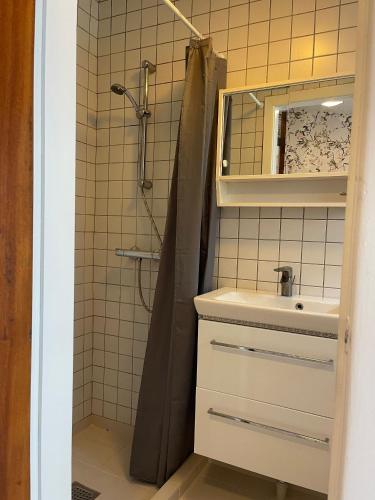 un baño con lavabo y ducha en The Gatekeepers Cottage at Hindemae Estate Cozy Stay in Historic Surroundings, en Ullerslev