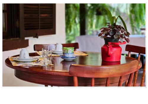 a table with a vase with a plant on it at Jardim Secreto - Itaipava in Itaipava