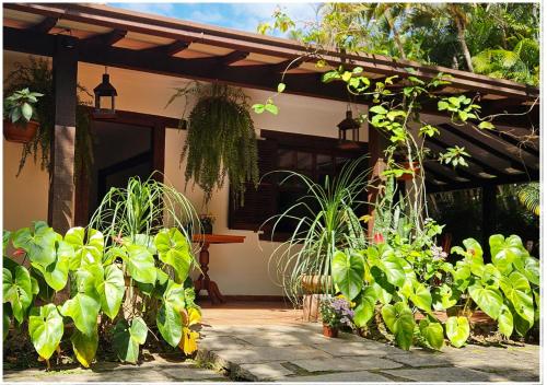 a garden with plants in front of a house at Jardim Secreto - Itaipava in Itaipava