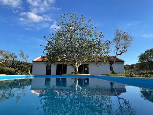 a villa with a swimming pool in front of a house at Tapada da Figueira by NaturAlegre in Esperança