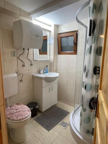 Koupelna v ubytování Cabana Maria, Cozia-Calimanesti
