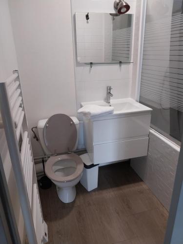 une salle de bain blanche avec des toilettes et un lavabo dans l'établissement Studio Gabin, à Niort
