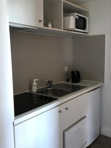 une cuisine avec un évier et un micro-ondes dans l'établissement studio cocooning Camargue, à Arles